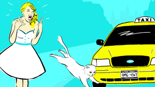 We Asked Vets: What's Wrong with Taylor Swift's Catatonic Cat?
